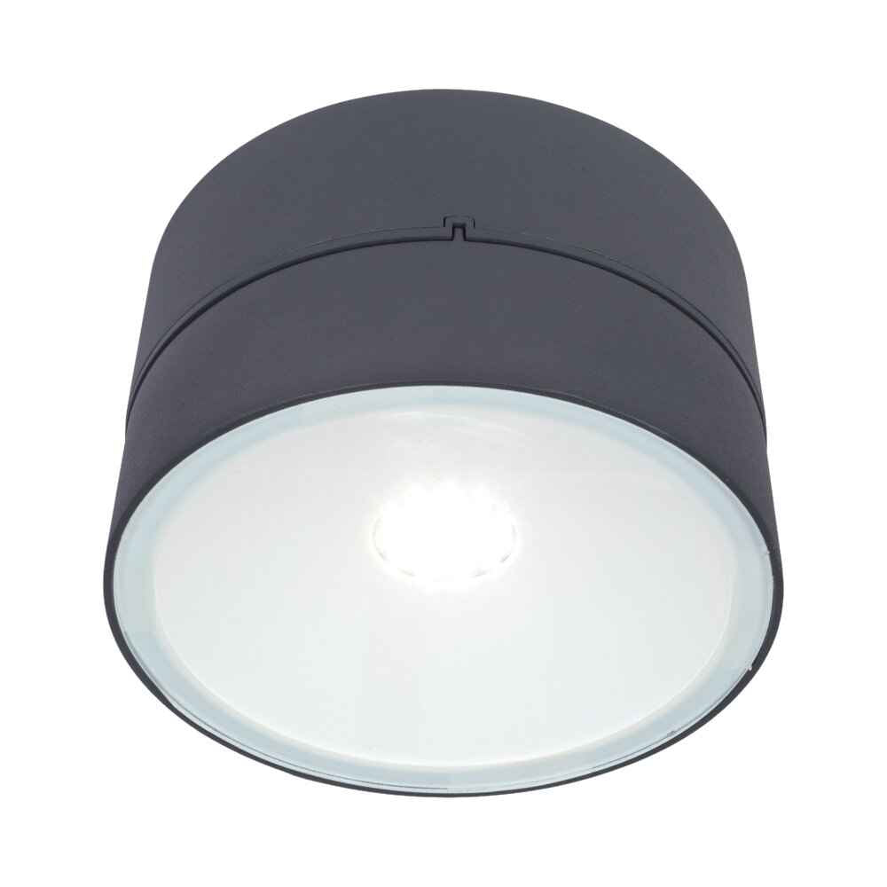 צמוד קיר / תקרה אפור כהה TRUMPET LUTEC 16W IP54 אור ניטרלי – NISKO
