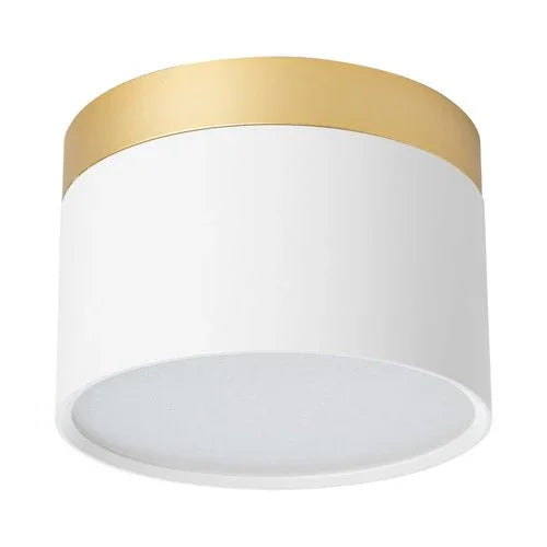 צמוד תקרה צילינדר לבן TOPAZ 15W 3CCT - אור שי סיטונאות חשמל בע״מ